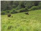 Lot 3 Wilsons Pocket Road, Wilsons Pocket QLD 4570