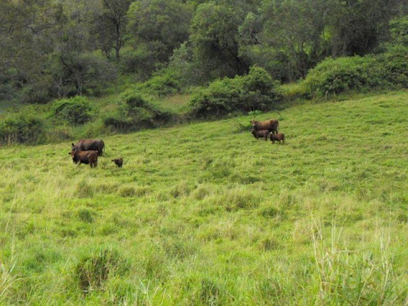 Lot 3 Wilsons Pocket Road, Wilsons Pocket QLD 4570