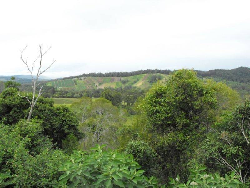 Lot 3 Wilsons Pocket Road, Wilsons Pocket QLD 4570