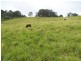 Lot 3 Wilsons Pocket Road, Wilsons Pocket QLD 4570
