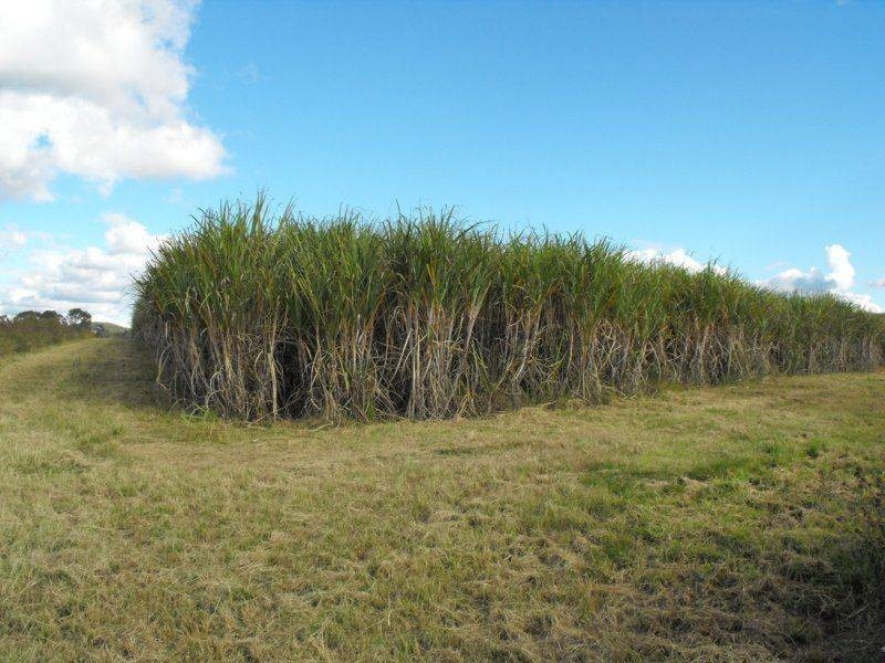 Goomboorian QLD 4570