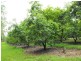 Amamoor QLD 4570