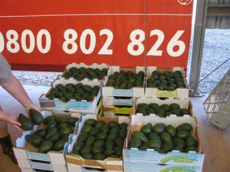Amamoor QLD 4570