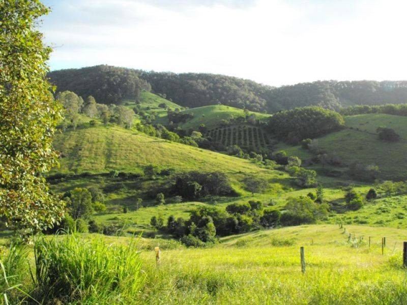 568 Beenham Valley Road, Beenaam Valley QLD 4570