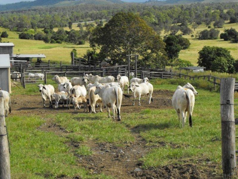 37 Davey Road, Gunalda QLD 4570