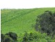 Glastonbury QLD 4570