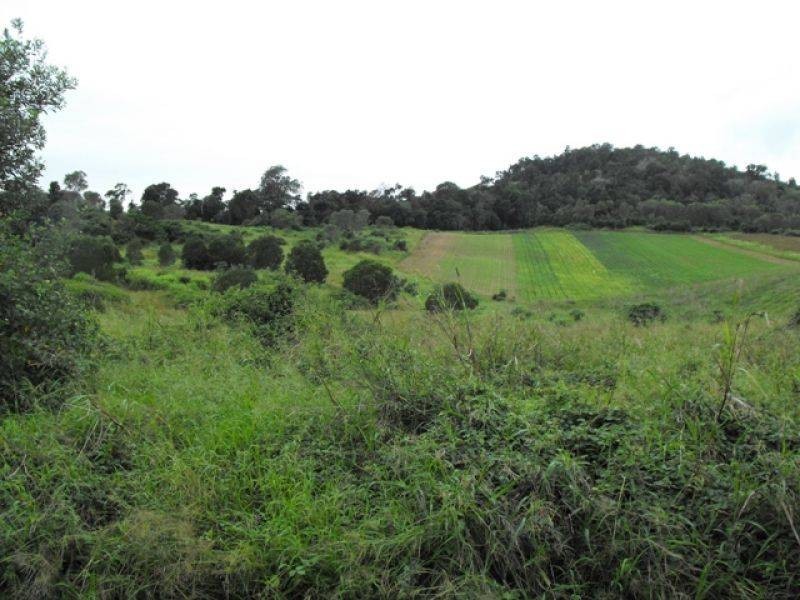 Glastonbury QLD 4570