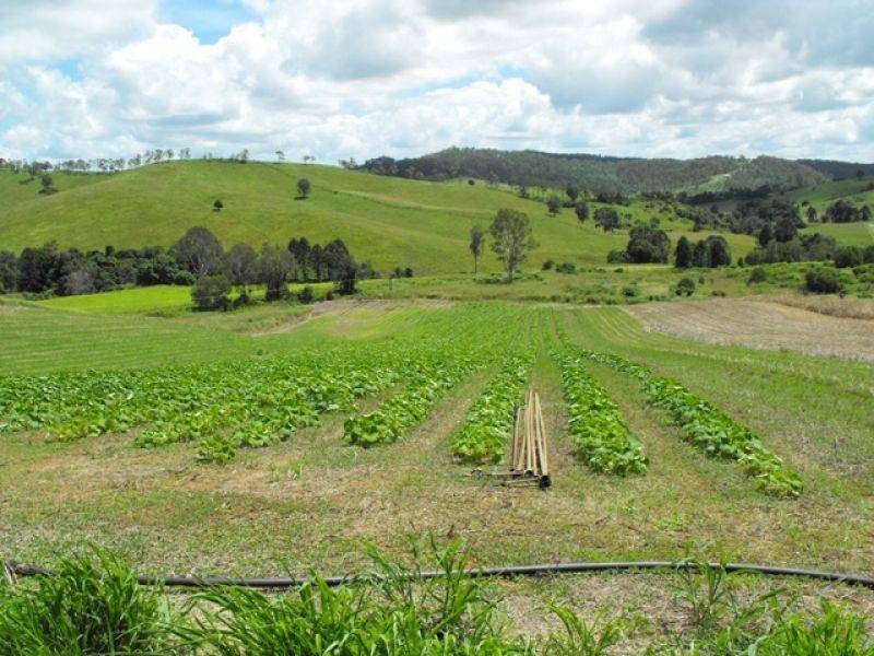 Glastonbury QLD 4570