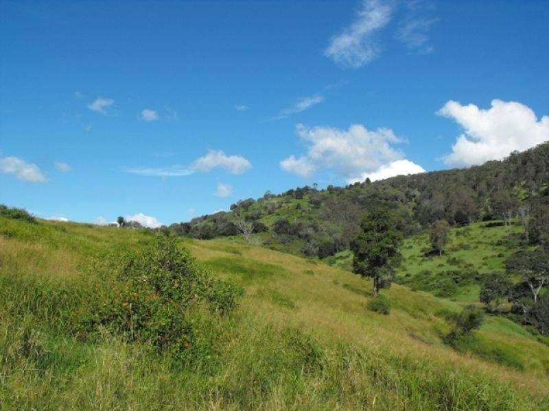 Upper Kandanga QLD 4570