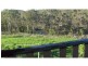 360 Kandanga Imbil Road, Imbil QLD 4570