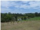 428 McIntosh Creek Rd, Mcintosh Creek QLD 4570