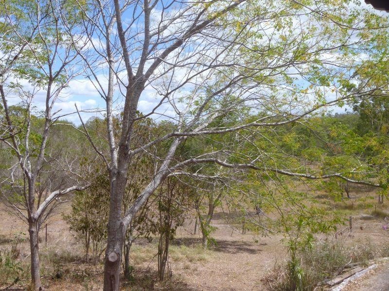 19  Dan Meurant Drive, Curra QLD 4570