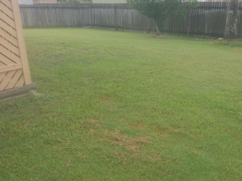 10 Quamby Court, Gympie QLD 4570