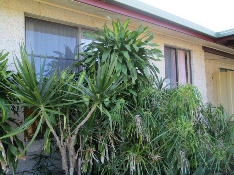 Gympie QLD 4570