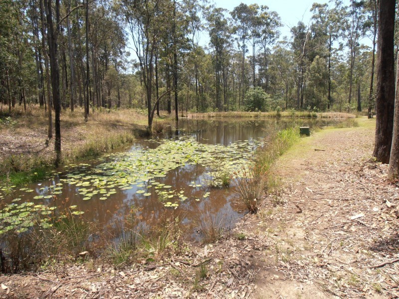 Glenwood QLD 4570