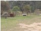 Curra QLD 4570