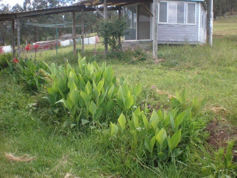 17 Kiabora Drive, Widgee QLD 4570