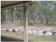 Curra QLD 4570