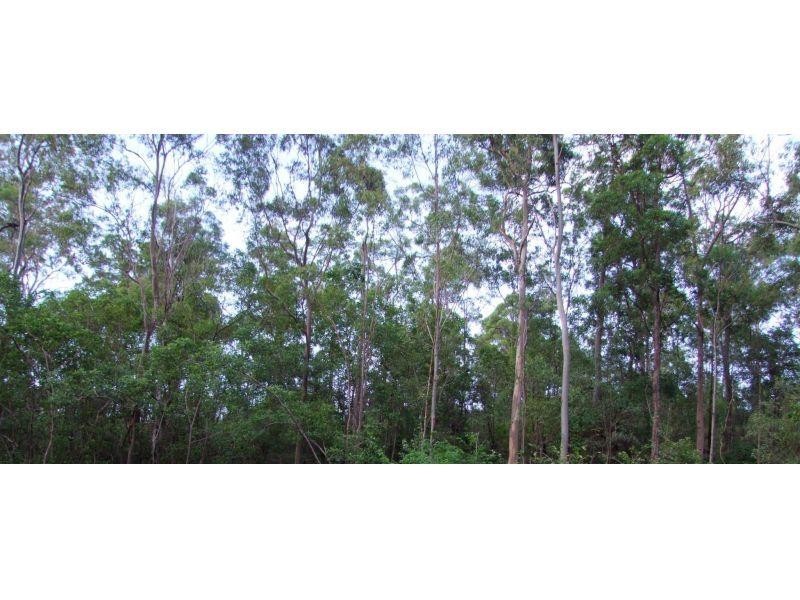 34 Beryl Cr, Curra QLD 4570