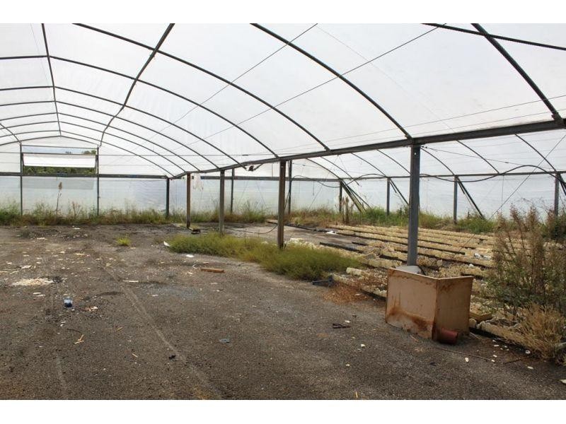 41 Samantha Drive, Pie Creek QLD 4570