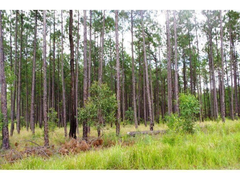 Lot 513 Arborcrescent Road, Glenwood QLD 4570