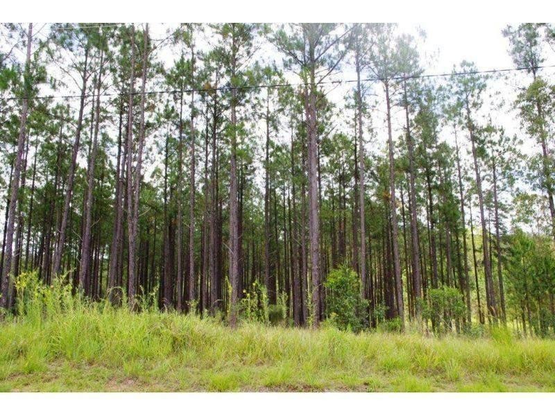 Lot 513 Arborcrescent Road, Glenwood QLD 4570