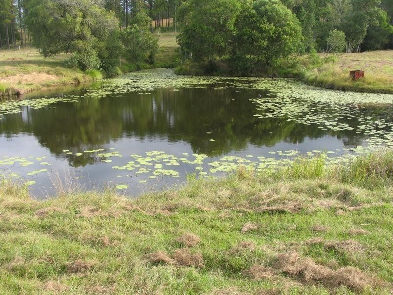 Lots 1-6 ILGA Road, Lagoon Pocket QLD 4570