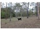 68a Dan Meurant Drive, Curra QLD 4570