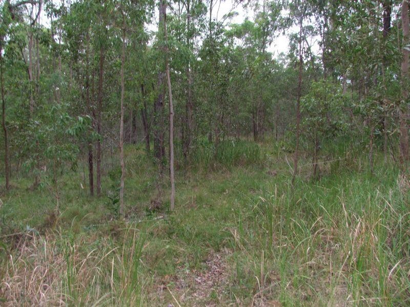 lot 307 Spiegel rd, Glenwood QLD 4570