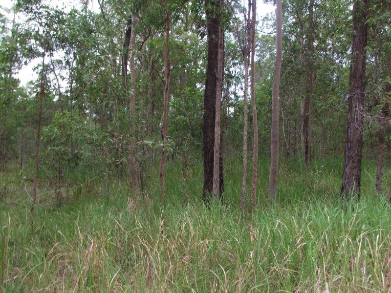 lot 307 Spiegel rd, Glenwood QLD 4570