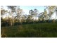 Lot 10 Sunrise Circle, The Dawn QLD 4570