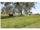 Eel Creek Road, Pie Creek QLD 4570