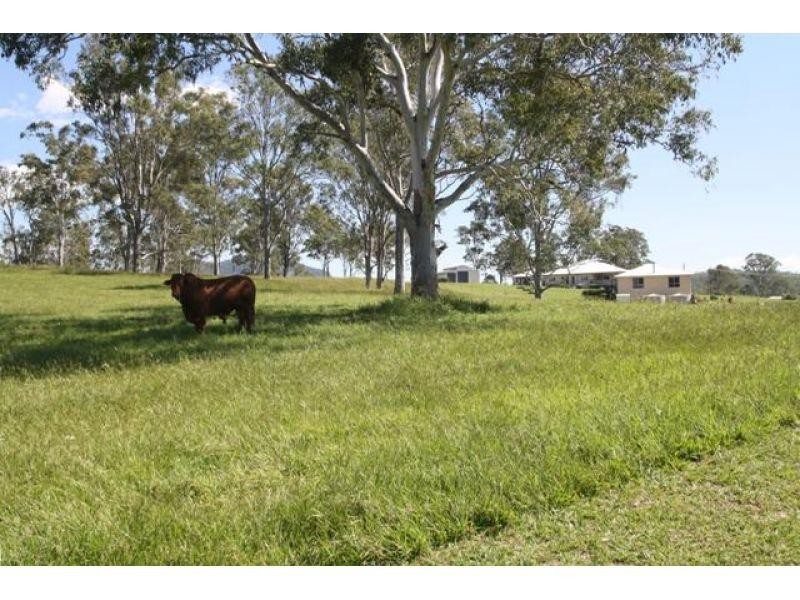 Eel Creek Road, Pie Creek QLD 4570