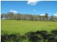Upper Kandanga QLD 4570