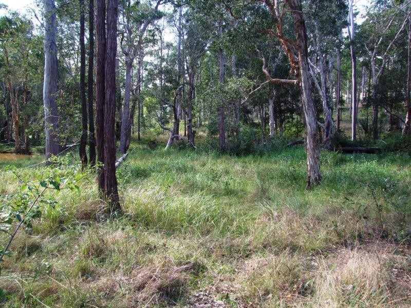 Lot 91 Brassington Place, Glenwood QLD 4570