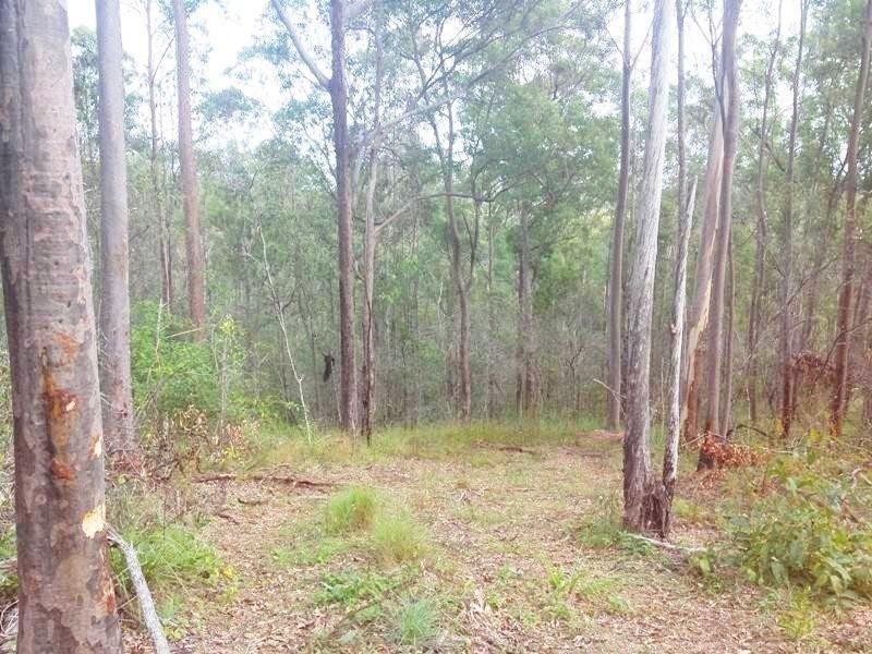 Lot 17 Anderleigh rd, Neerdie QLD 4570