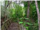 15 Trout Rd, The Dawn QLD 4570