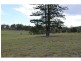 Lot 3 Turnbull Rd, Corella QLD 4570
