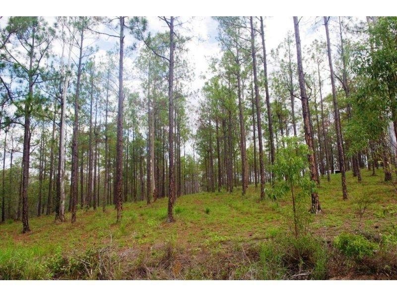 Lot 619 Arbortwentytwo Road, Glenwood QLD 4570