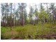 Lot 619 Arbortwentytwo Road, Glenwood QLD 4570