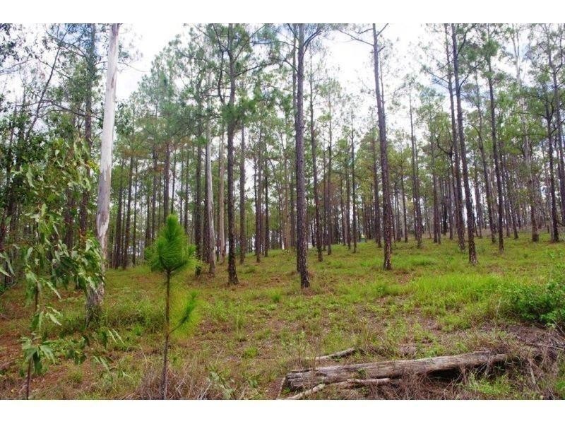 Lot 619 Arbortwentytwo Road, Glenwood QLD 4570