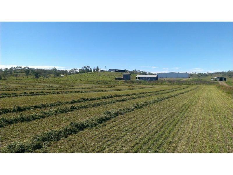 155 Macaulay Road, Tansey QLD 4601