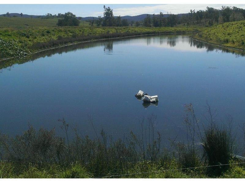 155 Macaulay Road, Tansey QLD 4601