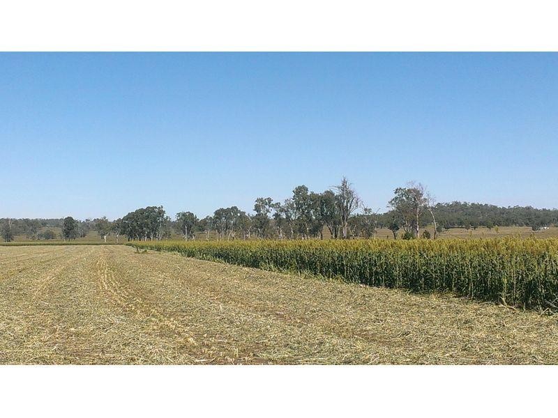 155 Macaulay Road, Tansey QLD 4601