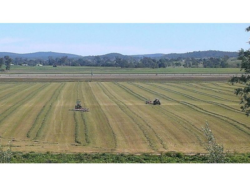 155 Macaulay Road, Tansey QLD 4601