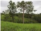 Lot 38 Boyle Road, The Palms QLD 4570