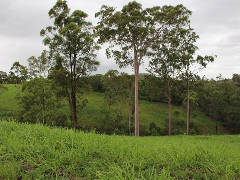 Lot 38 Boyle Road, The Palms QLD 4570