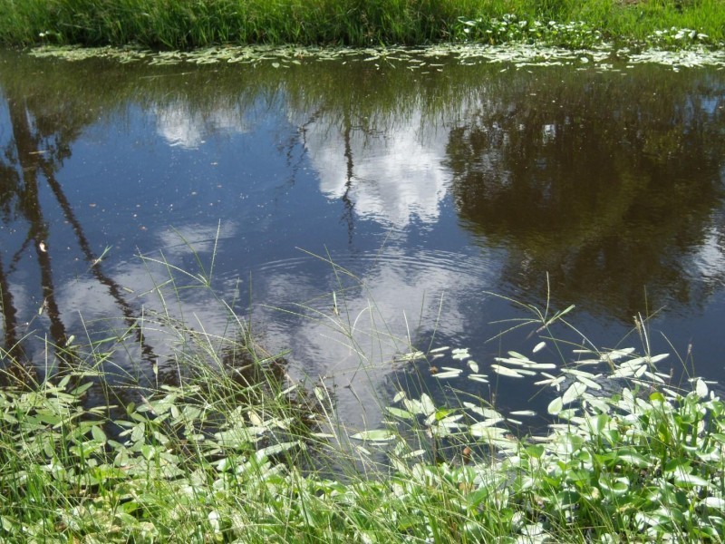 Mount Woowoonga Road, Woowoonga QLD 4621