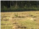 Lot 6 Moran Cres, Curra QLD 4570
