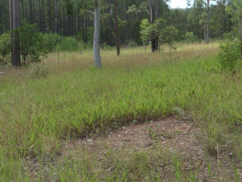 Lot 330 Arbornine road, Glenwood QLD 4570